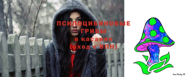 первитин Тавда