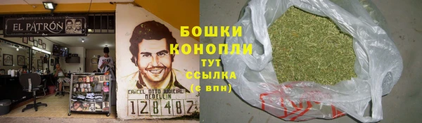 крисы Сясьстрой