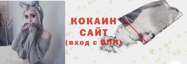 ECSTASY Тайга