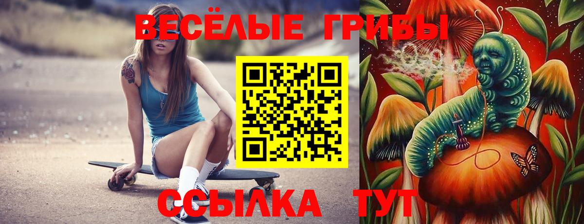Псилоцибиновые грибы GOLDEN TEACHER Вязники
