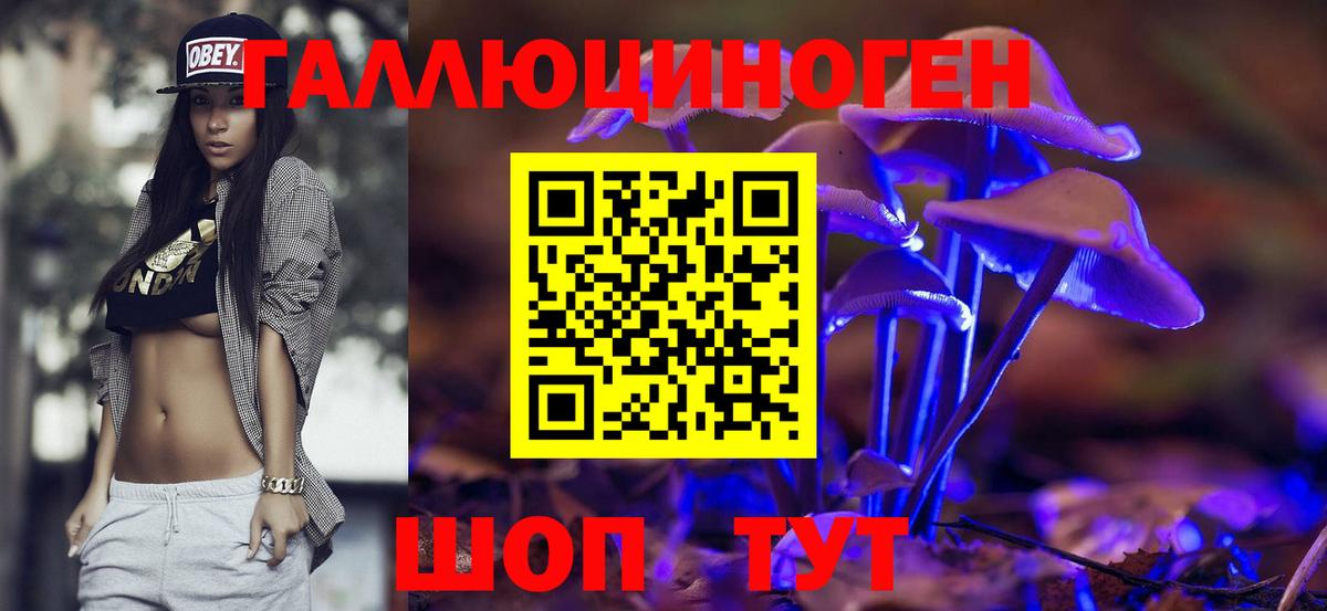 Вязники  Псилоцибиновые грибы мицелий  как найти закладки  Вход с VPN 